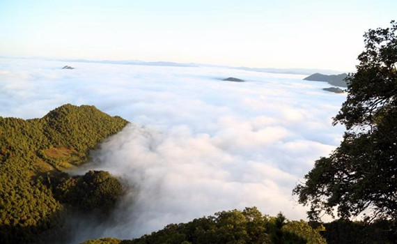 五月的隴南兩當皇鳳山美景如畫(huà)